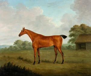 Kastanjebruin Paard in een Landschap, 1815