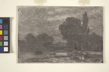 Moerassig Landschap