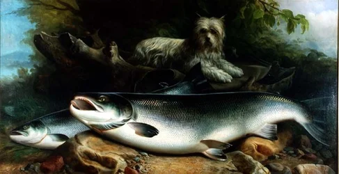 De vangst van de dag bewakend; een Skye Terrier met een mannelijke en een vrouwelijke zalm