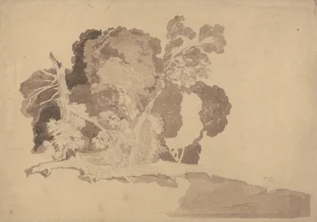 Studie van bomen