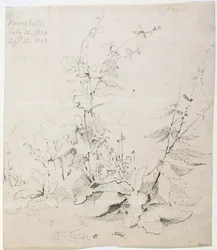 Studie van Onkruid, Kirkstall