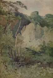 Bomen bij de Greta-rivier