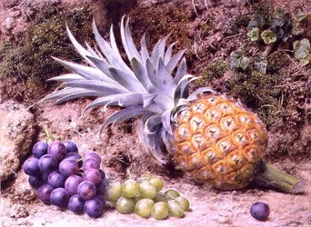 Een Ananas en Trossen Druiven op een Mossige Oever
