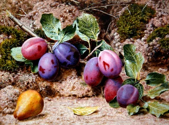 Stilleven met Pruimen en een Peer op een Mossige Oever, c.1855