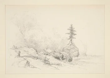 Landschap