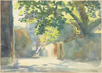 Door de zon verlichte muur onder een boom