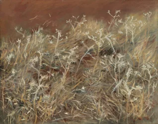 Distels, 1885-89