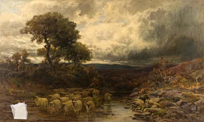 Herfsts korte schaduwrijke dagen