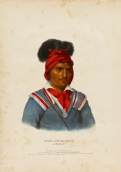 Foke-luste-ajo, een Seminole