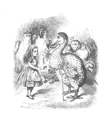 Alice en de Dodo, 1889