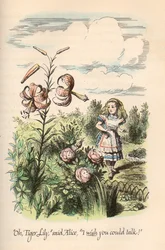 Alice in Wonderland  Door de kijker, door Lewis Carroll, geïllustreerd door John Tenniel