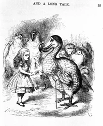 Alice in Wonderland: ontmoeting van Alice met een dodo door Lewis Carroll, illustratie van de eerste editie door Tenniel