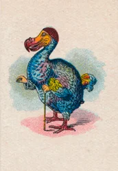 De Dodo, 1930