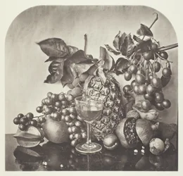 Fruit