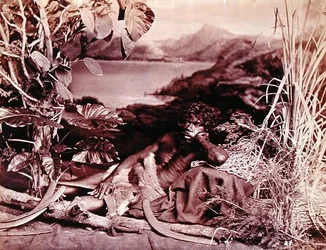 Australiër, ca. 1874