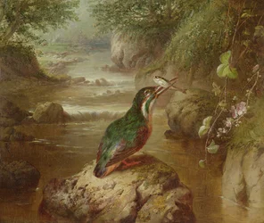 Het verblijf van de ijsvogel