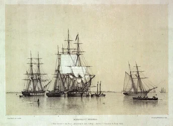 Maritieme Studies, koopvaardijschepen