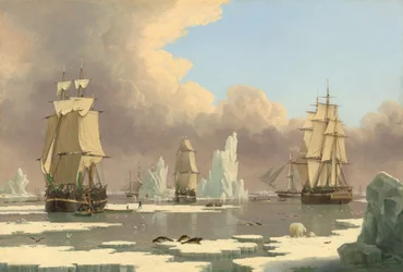 De noordelijke walvisvangst: De "Swan" en "Isabella"