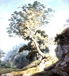 Uitzicht nabij Canonteign, Devon