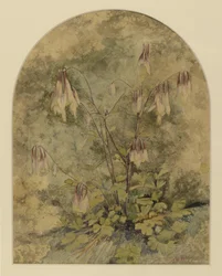 Wilde bloemen