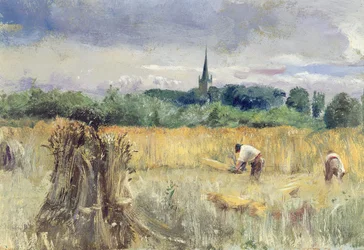 Oogstveld, Stratford-upon-Avon