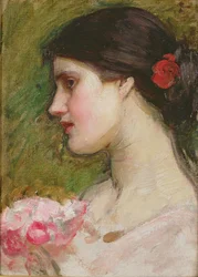 Camellia