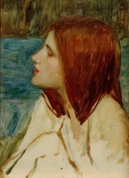 Hoofd van een meisje