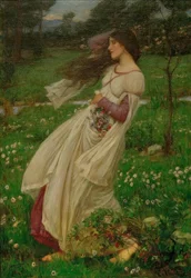 Windbloemen
