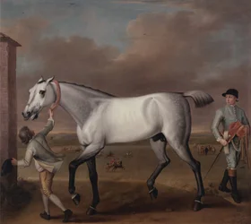 Het grijze renpaard 