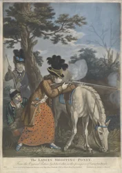 De Dames Schietpony