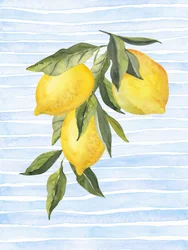 Zonnige citrus op blauw