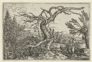 Landschap met de dorre boom