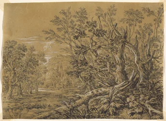 Stroom door een Oud Bos