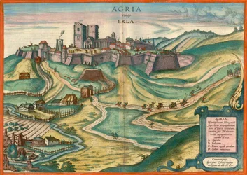 Agria aka Erla