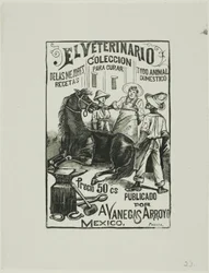 De dierenarts