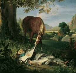 Graf van Wallstein