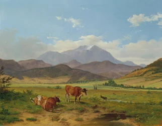 Landschap met Schneeberg