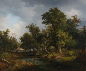 Boslandschap