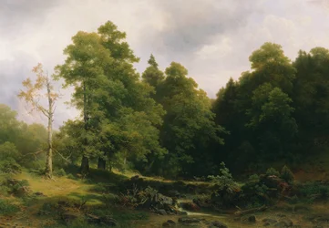 De stille boshoek
