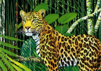 Dieren: luipaard 1