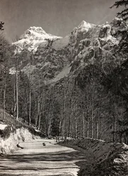 Album "Meine weltkriegs - Erinnerungen South-West Front (Karinthië, Italië, Zuid-Tirol) 31/03/1915-12/11/1918 - Josef Zohles Wenen": bergweg