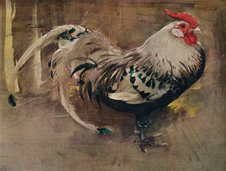De gespikkelde haan, 1903, 1935