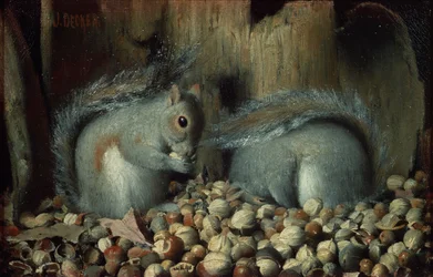 De gulzigaards (eekhoorns)