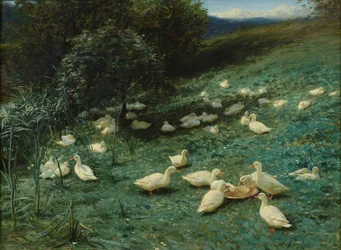 In de Warmte van Zomerdagen