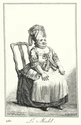Het model