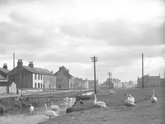 Straat in Allonby met zwanen en stroompje