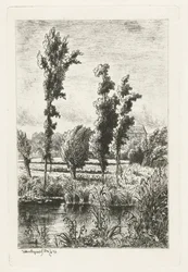 Bomen aan een sloot