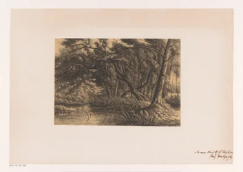Boslandschap met ven