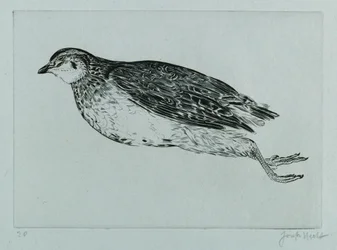 Dode patrijs (La Perdrix) (gravure)