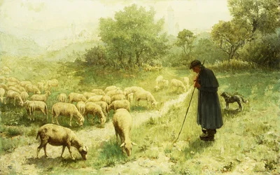 Herder